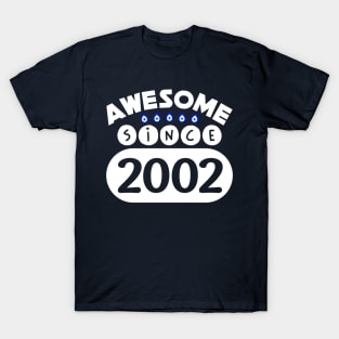 Awesome Since 2002 T-Shirt